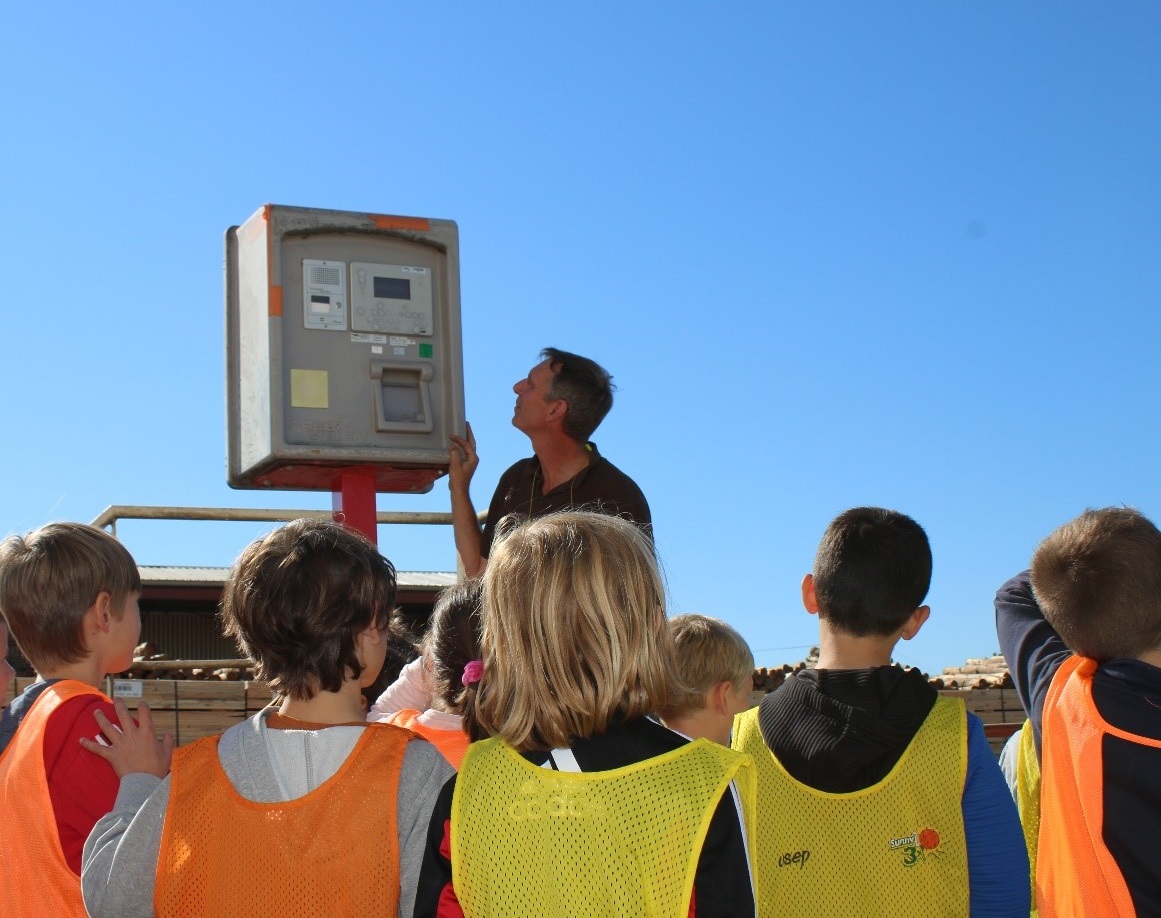 children pallet