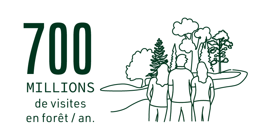 Plan de travail 1 copie 3