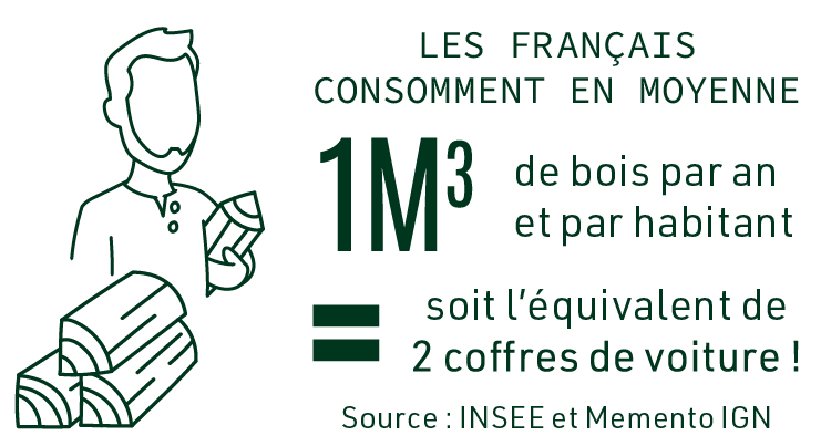 Plan de travail 1 copie 7