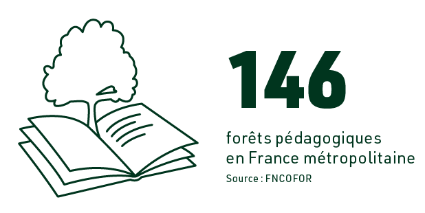 Plan de travail 26