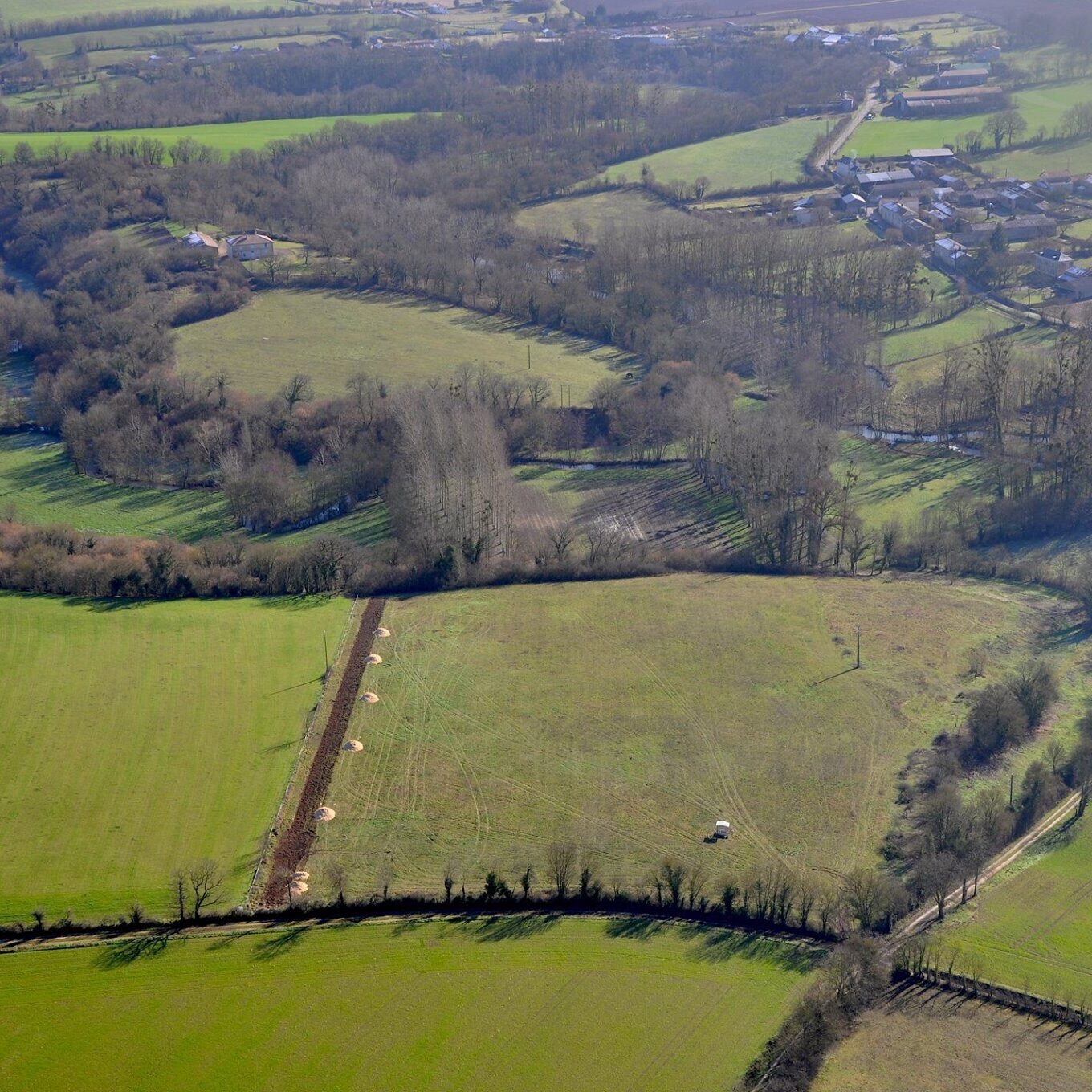 Prom'haie - Verger à graine