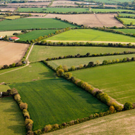 agroforesterie-photo agroforesterie-photo