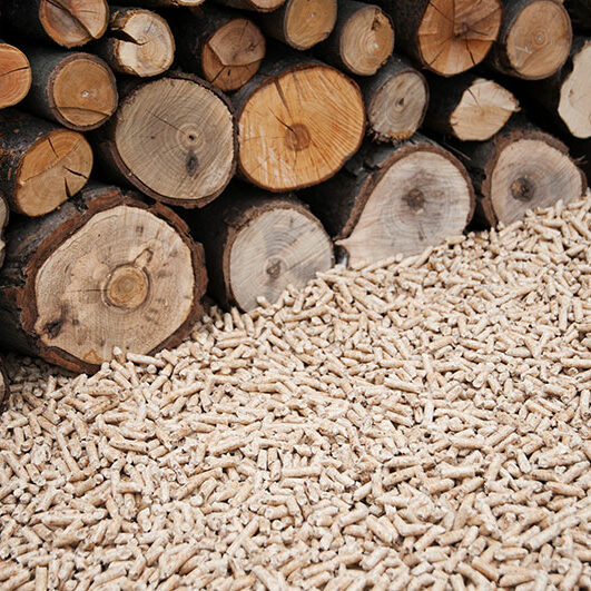 biomasse-archimbaud